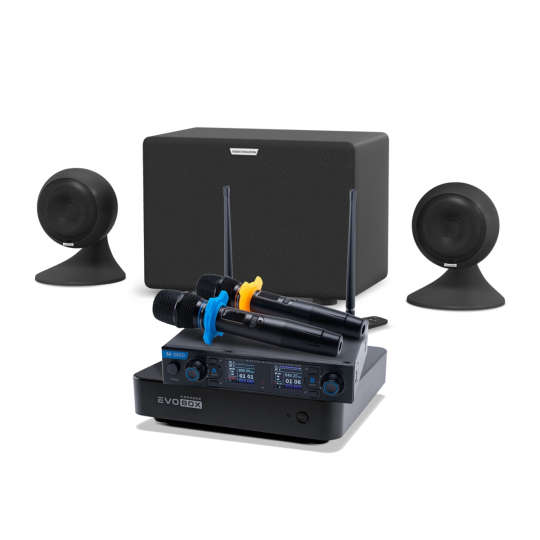 караоке-комплект EVOBOX + EvoSound Sphere 2.1 в Элисте