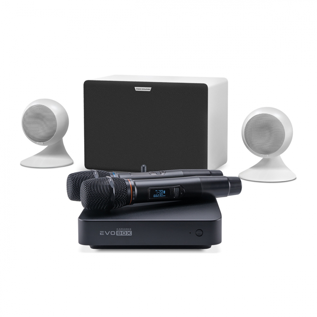 караоке-комплект EVOBOX Classic + EvoSound Sphere 2.1 в Элисте
