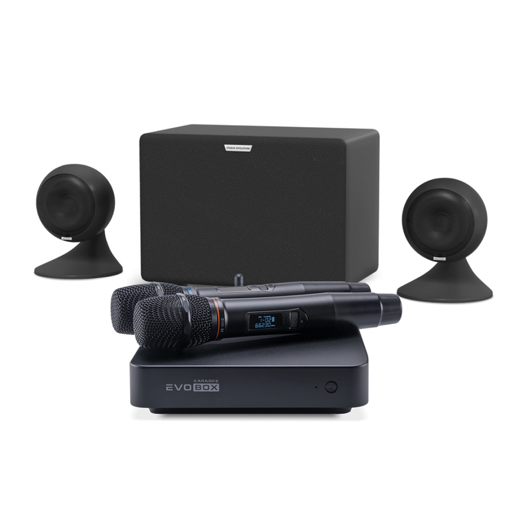 караоке-комплект EVOBOX Plus + EvoSound Sphere 2.1 в Элисте