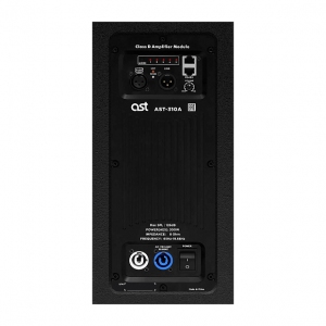 Активная акустическая система AST-310A в Элисте
