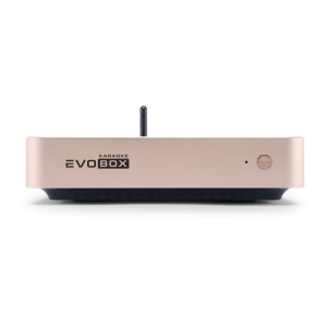 EVOBOX Classic караоке-система для дома в Элисте