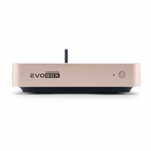 EVOBOX Plus караоке-система для дома в Элисте
