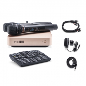 EVOBOX Plus караоке-система для дома в Элисте