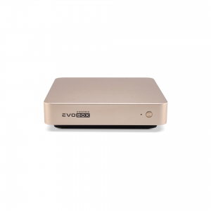 EVOBOX с микрофонами в Элисте